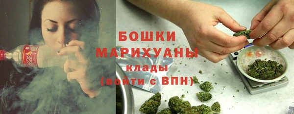 2c-b Лагань