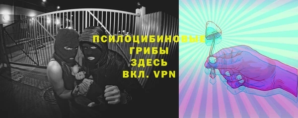 2c-b Лагань