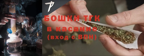 стаф Богородск