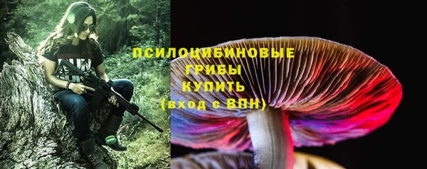 крисы Лабытнанги